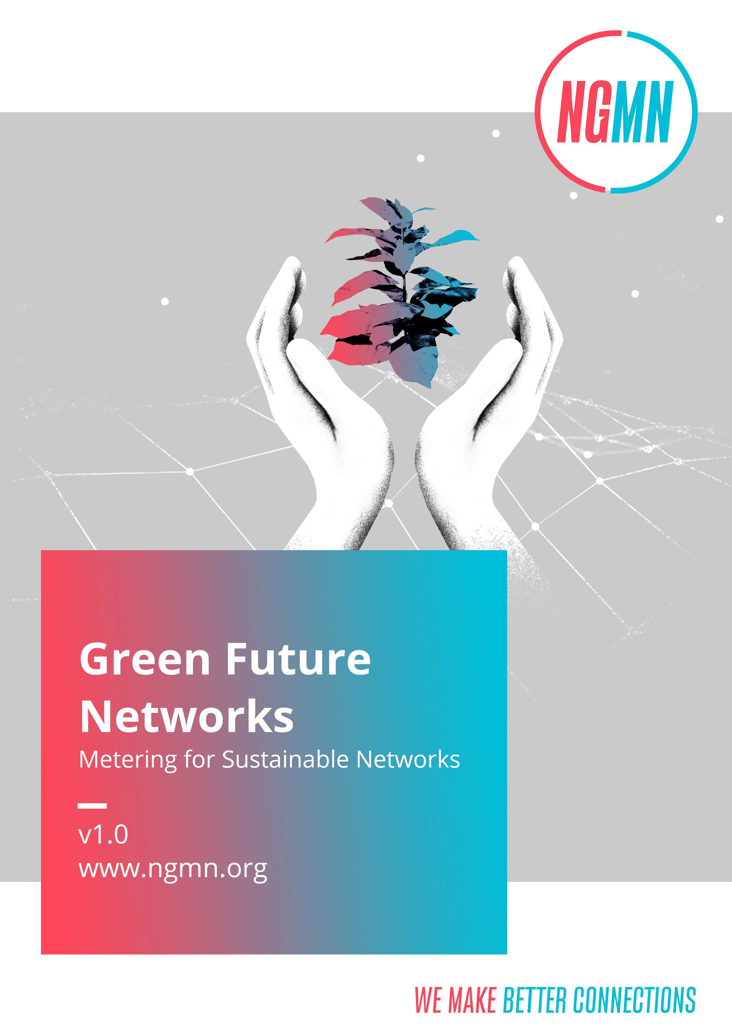Green Future Networks: Metering for Sustainable Networks v1.0